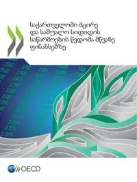 Buy Sakartveloshi Mtsire Da Sashualo Sididis Satsarmoebi (SMEs) da Mtsvane Seskhebi: OECD Report on Green Finance Access for Small and Medium Enterprises in Georgia | OECD | Hardcover | Georgian Language | 9789264771970 — BookShops.in