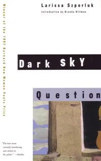 Buy Dark Sky Question by Larissa Szporluk | Beacon Press Poetry | Paperback English Edition 1998 | Barnard New Women Poets Series — BookShops.in