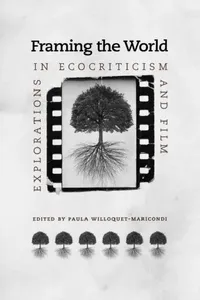 Buy Framing the World (English, Paula Willoquet-Maricondi) — BookShops.in