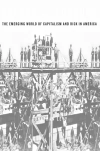 Buy Freaks of Fortune by Jonathan Levy | Harvard Univ Pr Hardcover | History of Capitalism and Risk in America | US Economic History Book — BookShops.in
