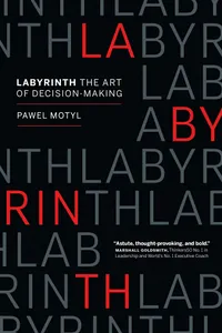 Buy Labyrinth: The Art of Decision-Making by Pawel Motyl | Hardcover | Page Two Strategies Inc | Business & Management | English — BookShops.in