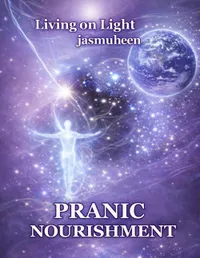 Buy Living on Light Pranic Nourishment by Jasmuheen | Self Empowerment Academy | Hardcover | New Age Spirituality & Human Design — BookShops.in