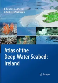 Buy Atlas of the Deep Water Seabed: Ireland by Boris Dorschel, Andrew J. Wheeler, Xavier Monteys | Springer Hardcover | Science & Mathematics Textbook — BookShops.in