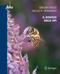 Buy Il ronzio delle api (I blu) by Jürgen Tautz | Springer Verlag | Italian Paperback | 2008 Edition | Bee Biology Book — BookShops.in