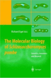 Buy The Molecular Biology of Schizosaccharomyces pombe: Genetics, Genomics and Beyond by Richard Egel - Springer Hardcover 2004 Edition - Higher Education Textbook in Microbiology — BookShops.in