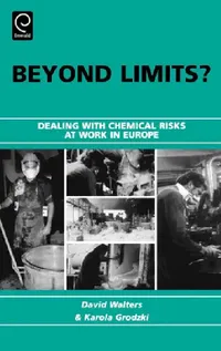 Buy Beyond Limits? (English, David Walters | Karola Grodzki) — BookShops.in
