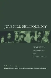Buy Juvenile Delinquency (English, Kirk Heilbrun | Naomi Goldstein | Richard Redding) — BookShops.in