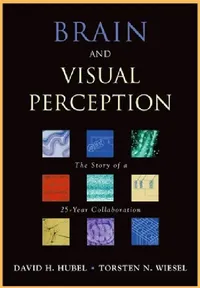 Buy Brain and Visual Perception (English, David H. Hubel | Torsten Wiesel) — BookShops.in