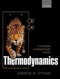 Buy Thermodynamics (English, Andrew M. Steane) — BookShops.in