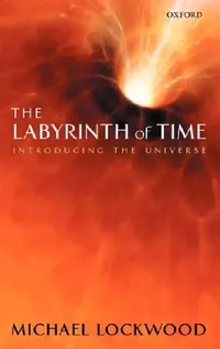 Buy The Labyrinth of Time (English, Michael Lockwood) — BookShops.in