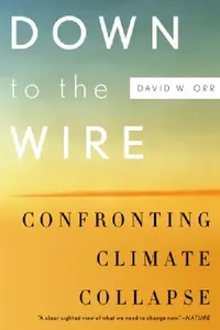 Buy Down to the Wire (English, David W. Orr) — BookShops.in