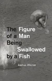 Buy The Figure of a Man Being Swallowed by a Fish (English, Joshua Weiner) — BookShops.in