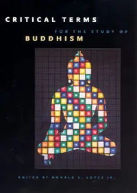 Buy Critical Terms for the Study of Buddhism (English, Donald S. Lopez Jr) — BookShops.in