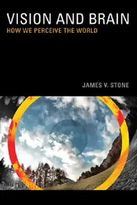 Buy Vision (English, James V. Stone) — BookShops.in