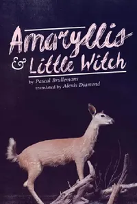 Buy Amaryllis & Little Witch (English, Pascal Brullemans | Alexis Diamond) — BookShops.in