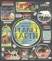 Buy The Wondrous Workings of Planet Earth (English, Rachel Ignotofsky) — BookShops.in