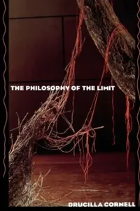 Buy The Philosophy of the Limit (English, Drucilla Cornell) — BookShops.in