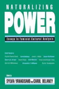 Buy Naturalizing Power (English, Sylvia Yanagisako | Carol Delaney) — BookShops.in