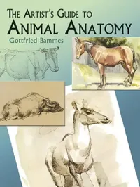 Buy The Artist's Guide to Animal Anatomy (English, Gottfried Bammes) — BookShops.in