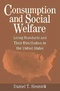 Buy Consumption and Social Welfare (English, Daniel T. Slesnick) — BookShops.in