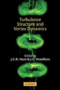 Buy Turbulence Structure and Vortex Dynamics (English, J. C. R. Hunt | J. C. Vassilicos) — BookShops.in