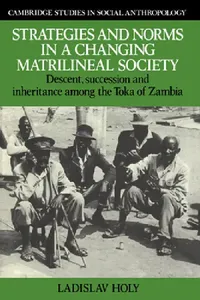 Buy Strategies and Norms in a Changing Matrilineal Society (English, Ladislav Holy | Holy Ladislav) — BookShops.in