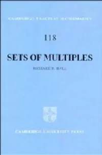 Buy Sets of Multiples (English, Richard R. Hall | R. R. Hall | Hall Richard R.) — BookShops.in