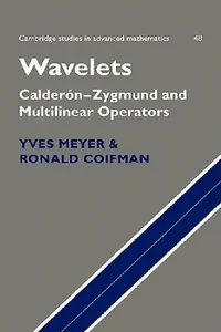 Buy Wavelets (English, Yves Meyer | David Salinger | Ronald Coifman) — BookShops.in