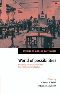 Buy World of Possibilities (English, Charles F. Sabel | Jonathan Zeitlin) — BookShops.in