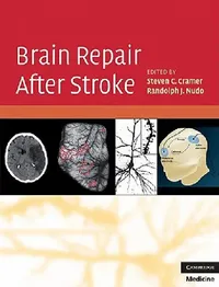 Buy Brain Repair After Stroke (English, Steven C. Cramer | Randolph J. Nudo) — BookShops.in