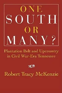 Buy One South or Many? (English, Robert Tracy McKenzie) — BookShops.in