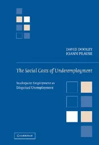 Buy The Social Costs of Underemployment (English, Joann Prause | David Dooley) — BookShops.in