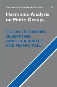 Buy Harmonic Analysis on Finite Groups (English, Tullio Ceccherini-Silberstein | Fabio Scarabotti | Filippo Tolli) — BookShops.in