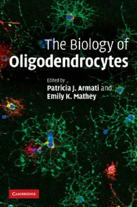 Buy The Biology of Oligodendrocytes (English, Patricia Armati) — BookShops.in