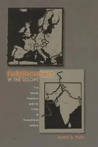 Buy Enlightenment in the Colony (English, Aamir R. Mufti) — BookShops.in