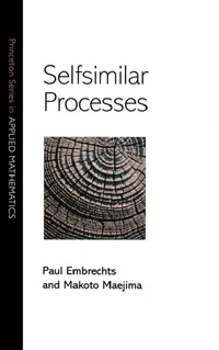 Buy Selfsimilar Processes (English, Paul Embrechts) — BookShops.in