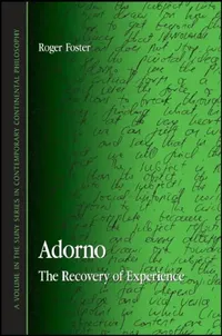 Buy Adorno (English, Roger Foster) — BookShops.in