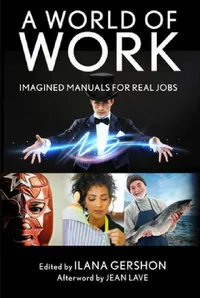 Buy A World of Work (English, Ilana M. Gershon | Jean Lave) — BookShops.in