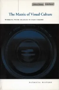 Buy The Matrix of Visual Culture (English, Patricia Pisters) — BookShops.in