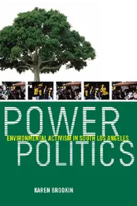 Buy Power Politics (English, Karen Brodkin) — BookShops.in