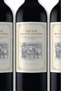 Buy Soft Soil, Black Grapes (English, Simone Cinotto) — BookShops.in