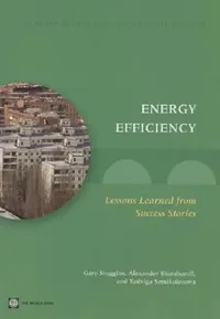 Buy Energy Efficiency (English, Gary Stuggins | Alexander Sharabaroff | Yadviga Semikolenova) — BookShops.in