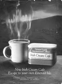 Buy The Irish in Us (English, Diane Negra) — BookShops.in