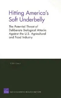 Buy Hitting America's Soft Underbelly (English, Peter Chalk) — BookShops.in