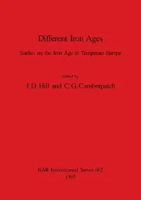 Buy Different Iron Ages (English, J. D. Hill | C. G. Cumberpatch) — BookShops.in