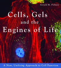 Buy Cells, Gels and the Engines of Life (English, Gerald H. Pollack) — BookShops.in
