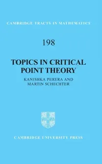 Buy TOPICS IN CRITICAL POINT THEORY | by Kanishka Perera | Martin Schechter | ‎ Cambridge University Press | ‎ English — BookShops.in