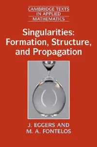 Buy Singularities (English, J. Eggers | M. A. Fontelos) — BookShops.in