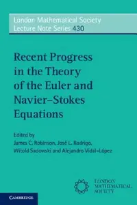 Buy Recent Progress in the Theory of the Euler and Navier-Stokes Equations (English, James C. Robinson | José L. Rodrigo | Witold Sadowski) — BookShops.in