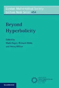 Buy Beyond Hyperbolicity (English, Mark Hagen | Richard Webb | Henry Wilton) — BookShops.in